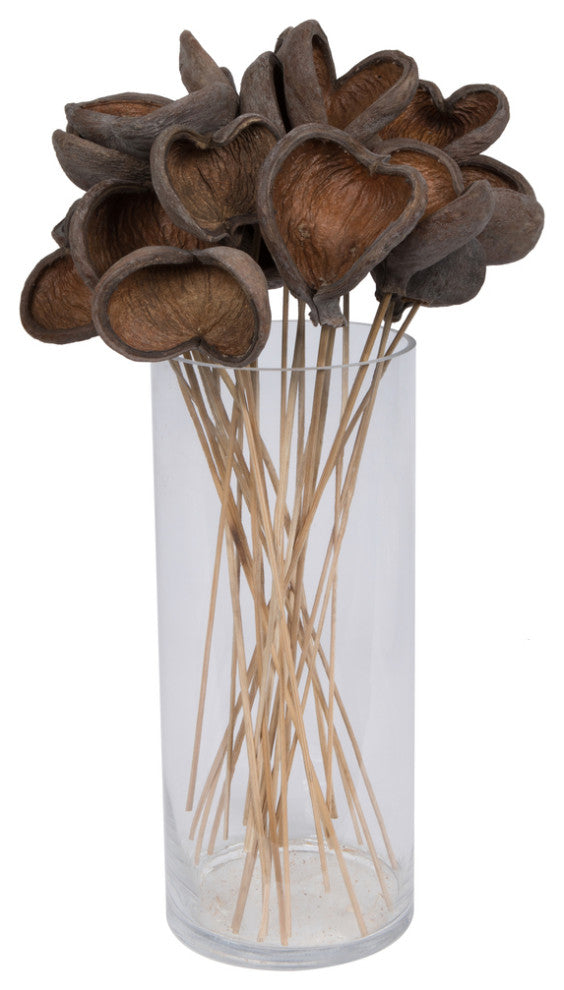 Vickerman Natural Botanicals 20" Stem Badam, Includes 25 Stems Per Pack