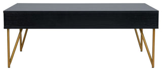 Safavieh Pine Two Drawer Coffee Table, Black/Gold