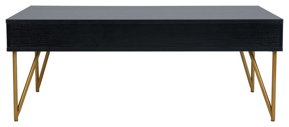 Safavieh Pine Two Drawer Coffee Table, Black/Gold