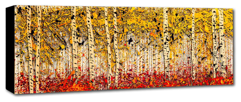 'Fall Pano Aspens' Canvas Art by Roderick Stevens