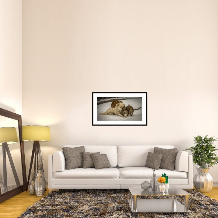 "Sweet Effusions" Framed Digital Print by Riccardo Lucidi, 44x27"