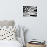 Droplets on Petals Black & White Floral Photo Unframed Wall Art Print, 12" X 16"