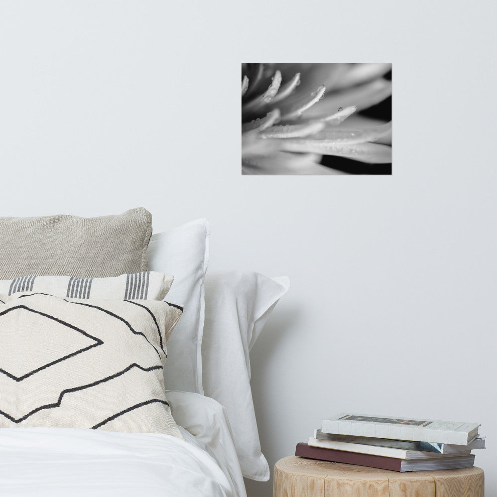 Droplets on Petals Black & White Floral Photo Unframed Wall Art Print, 12" X 16"