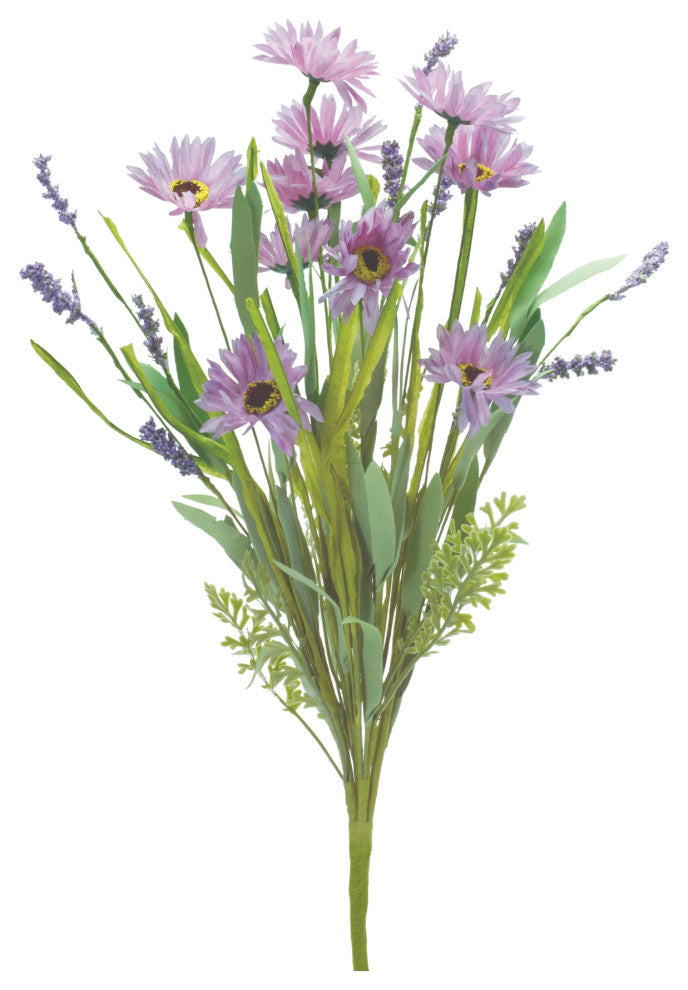 Mixed Daisy Bush, Set of 6