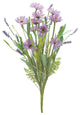 Mixed Daisy Bush, Set of 6