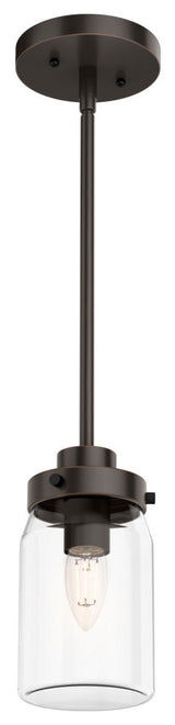 Hunter Devon Park Collection 1-Light Jar Pendant, Onyx Bengal