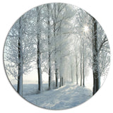 Winter Trees Backlit By Morning Sun, Forest Disc Metal Artwork, 23"