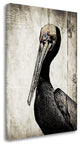 "Rustic Brown Pelican" By Sarah Ogren, Giclee Print on Gallery Wrap Canvas