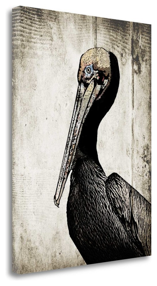 "Rustic Brown Pelican" By Sarah Ogren, Giclee Print on Gallery Wrap Canvas