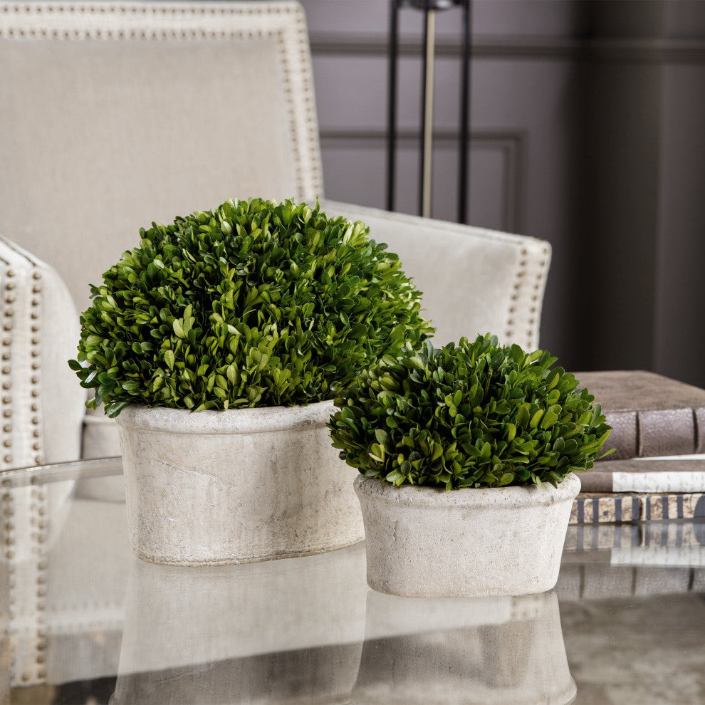 Lifestyle image showing the boxwood set in a real room setting.