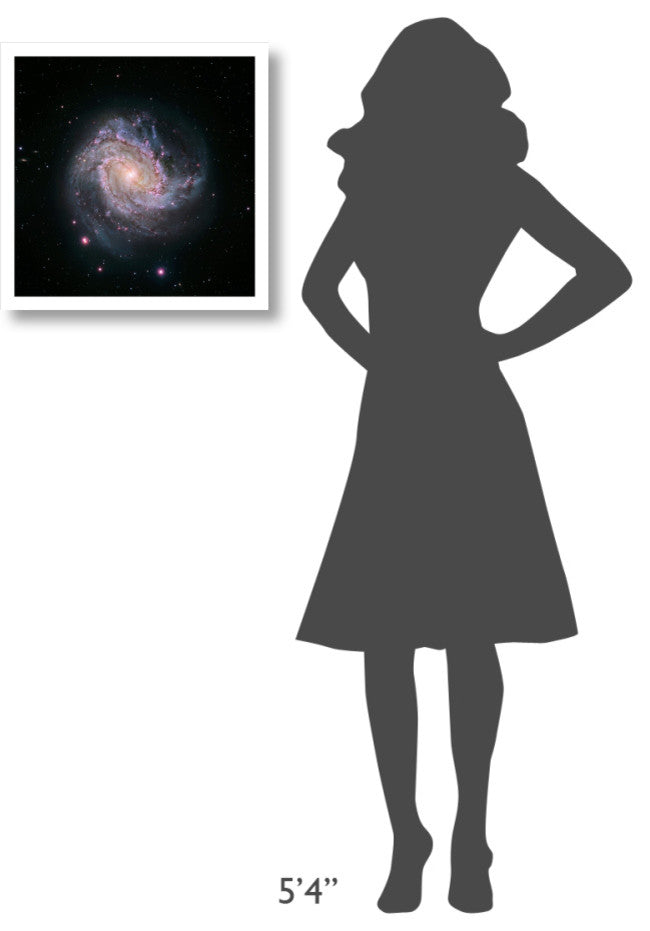 "M83 - Spiral Galaxy (Hubble-Magellan Composite)" Paper Print by NASA, 20"x20"