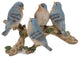Birds on Branch