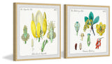 "Isn't Cute? Diptych" Framed Prints, 24"x24", 2-Piece Set