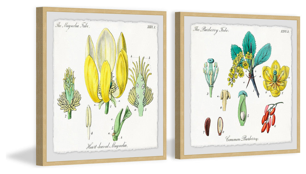 "Isn't Cute? Diptych" Framed Prints, 24"x24", 2-Piece Set