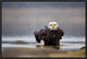 "Bald Eagle" Framed Canvas Giclee by Milan Zygmunt, 23x16"