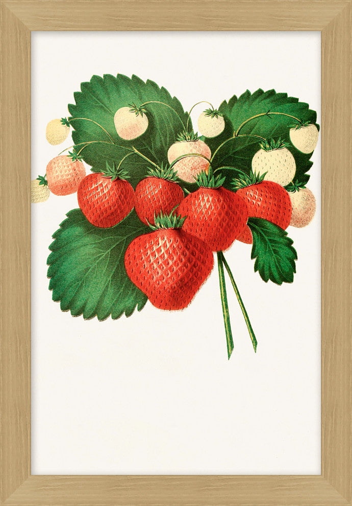 Fruit Harvest 2