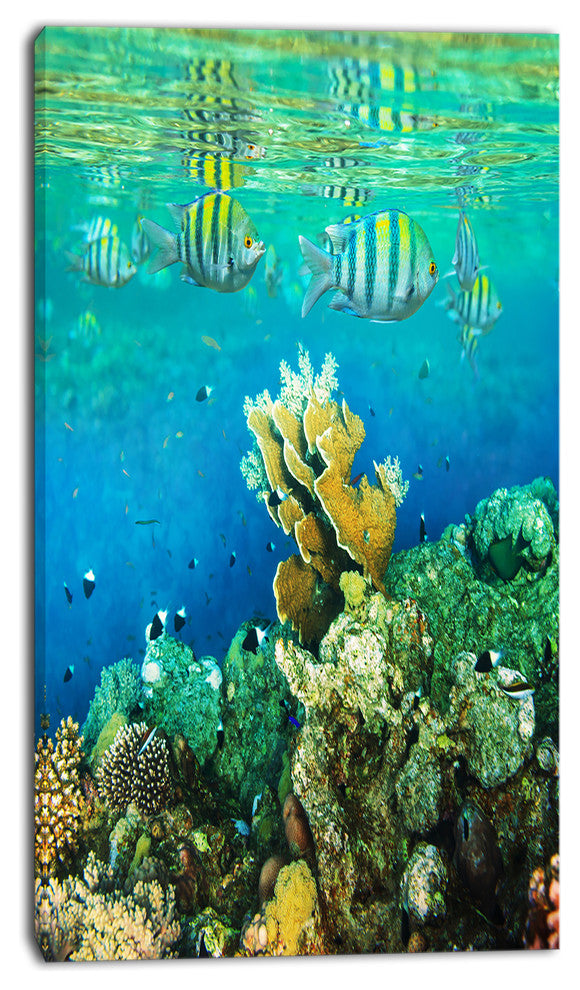 Fantastic Red Sea Coral Fish, Seashore Canvas Art Print, 16"x32"