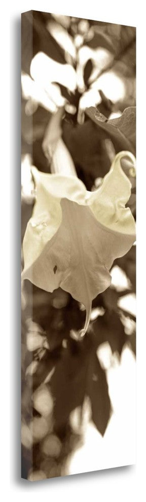 "Florison - 78" By Alan Blaustein, Giclee Print on Gallery Wrap Canvas
