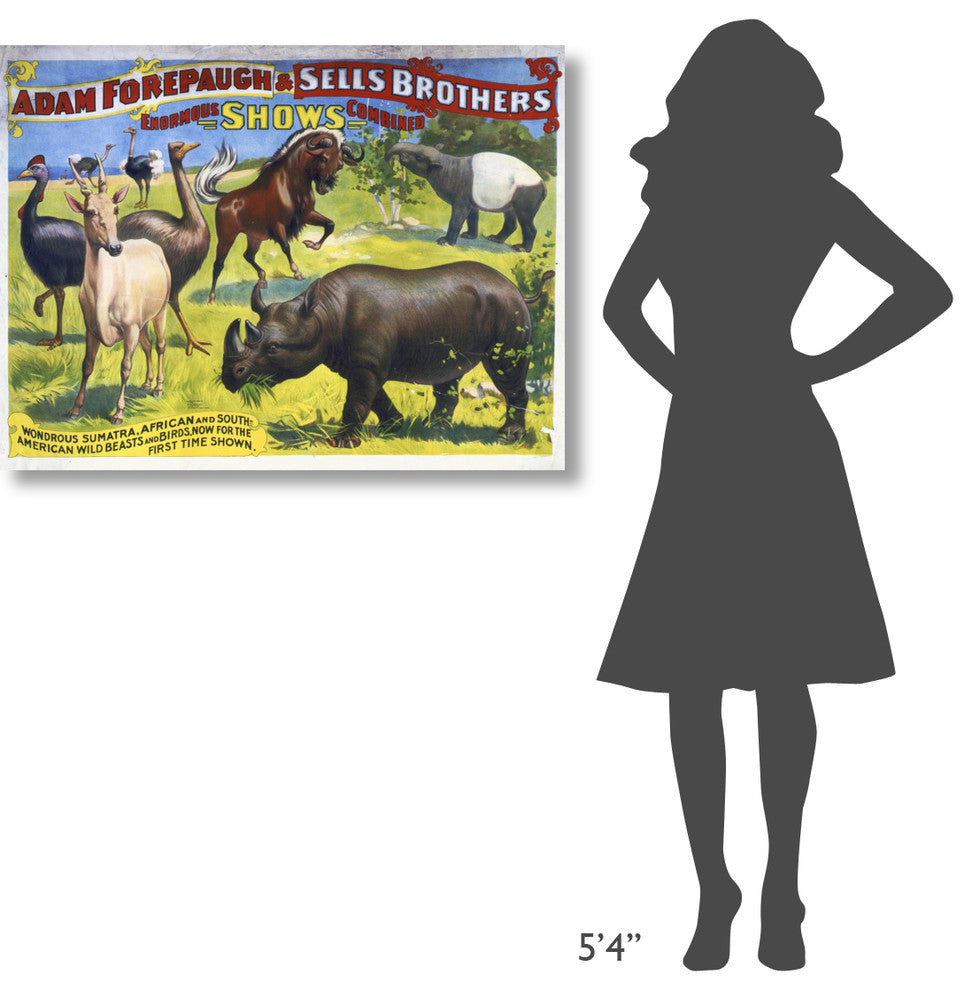 American Wild Beasts And Birds, 40x30