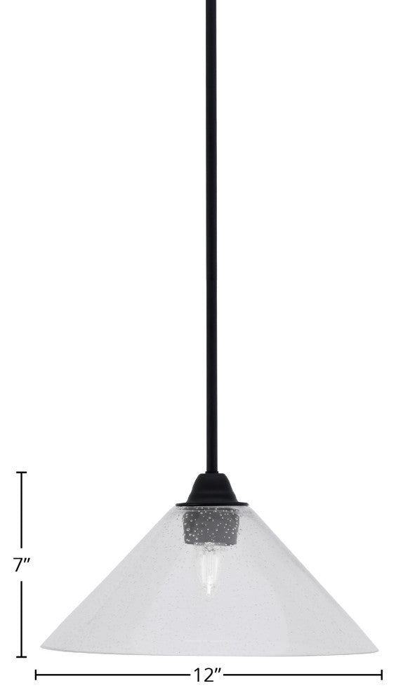 Paramount Mini Pendant, Matte Black, 12" Clear Bubble Glass