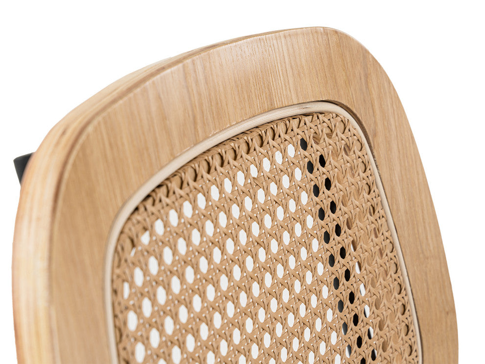 Modern Alizee Modern Rattan and Black Dining Chair Set of 2