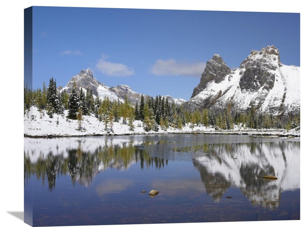"Wiwaxy Peaks And Cathedral Mountain, Yoho National Park, BC, Canada" Artwork