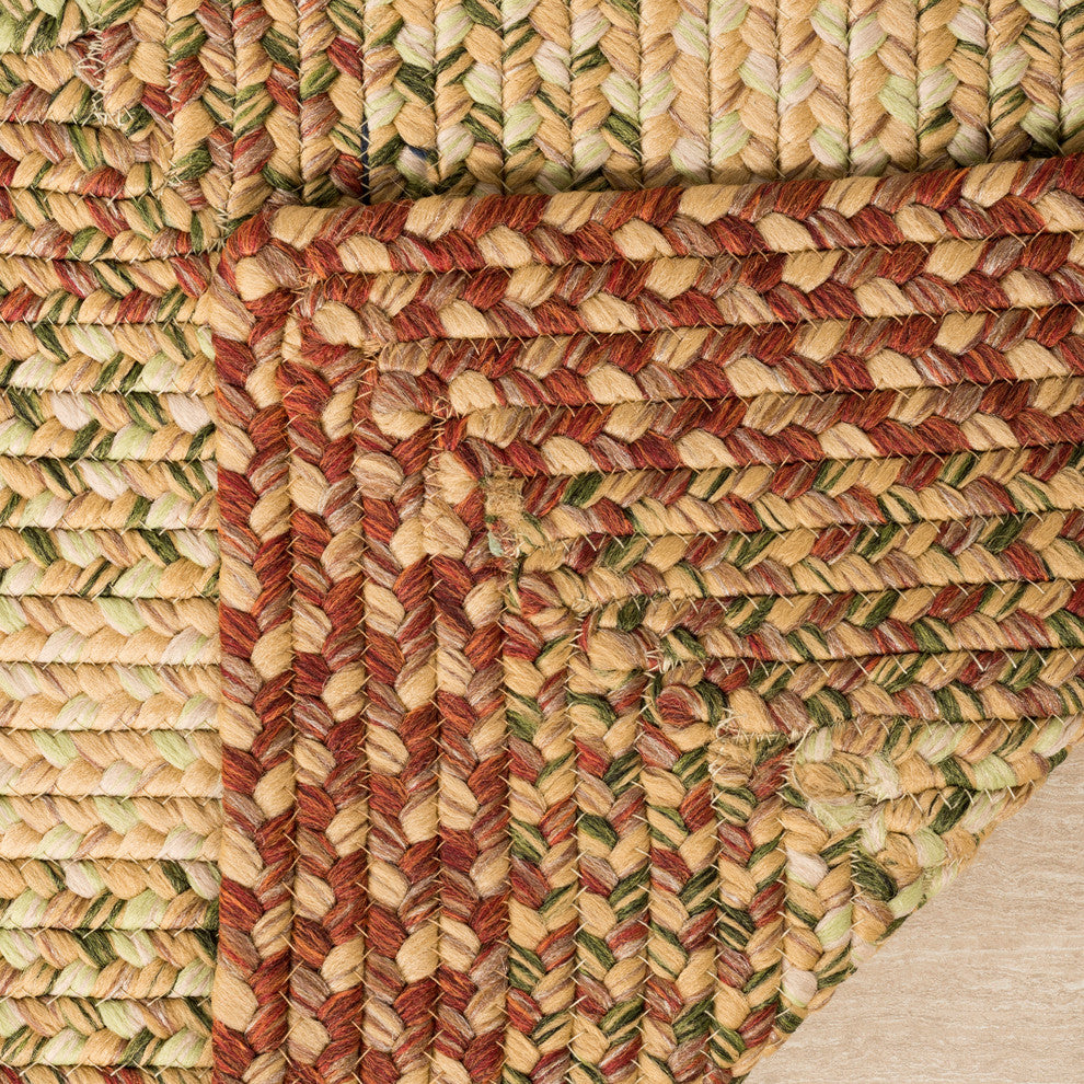 Safavieh Braided Collection BRD303 Rug, Rust/Multi, 2'6"x4'