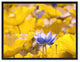 Yellow Lotus Flower Print on Canvas with Picture Frame, 28"x37"