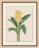 Prisma Floral 8, Giclee Reproduction Artwork