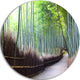 Kyoto Bamboo Forest Pathway, Forest Round Wall Art, 11"