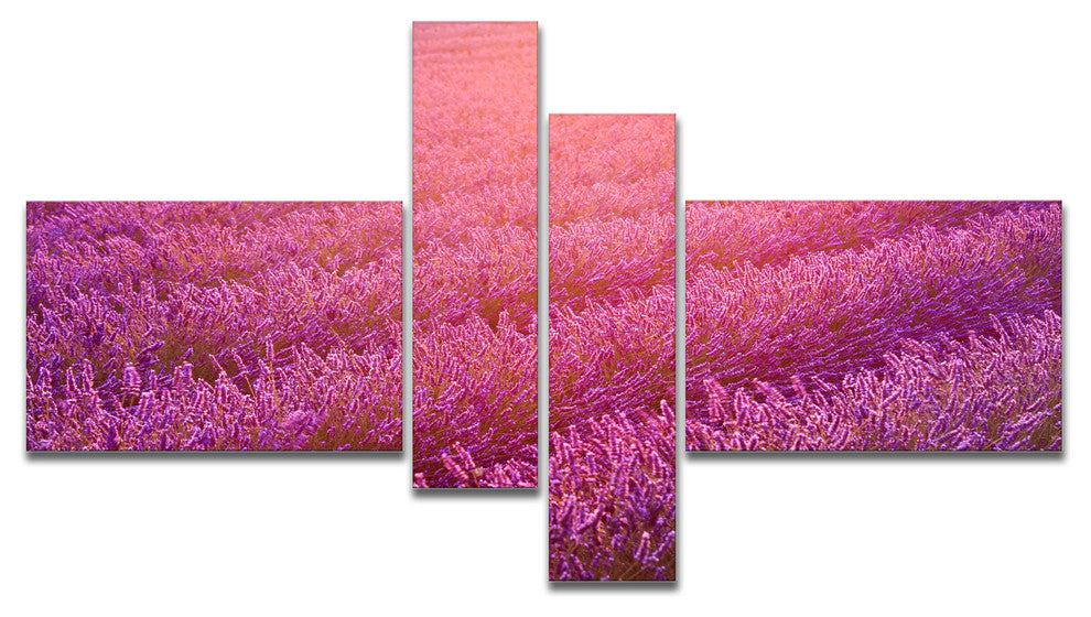 Lavender Field and Ray of Light, Floral Canvas Art Print, 60"x32", 4 panels