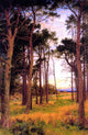 Benjamin Williams Leader Skirt of a Pine Wood, 18"x27" Wall Decal