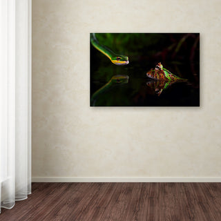 Unknown Artist 'Snake' Canvas Art, 16x24
