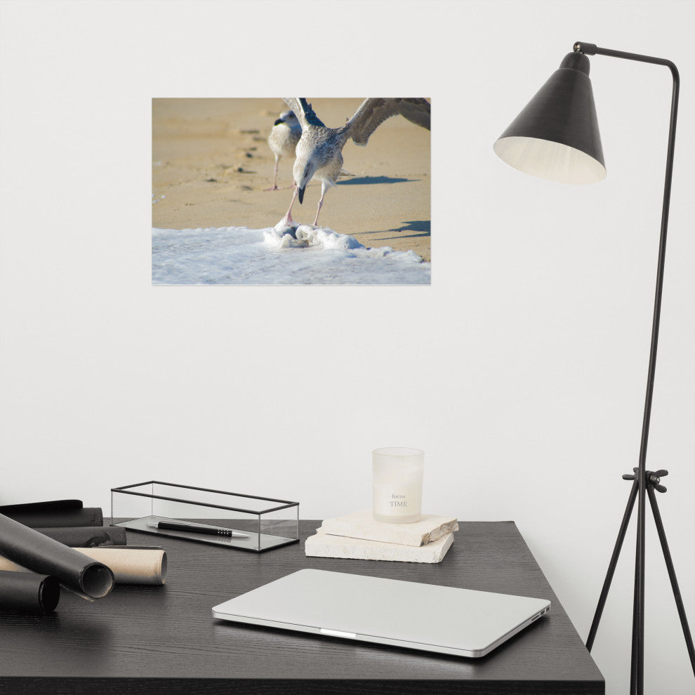 Oh That's Cold (Coastal Birds) Wildlife Photography Unframed Wall Art Print, 12" X 18"