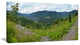 Green Mountains Panorama, Landscape Canvas Art Print, 40x20