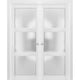 French Double Doors |Lucia 2552 White Silk with Opaque Glass -56x80
