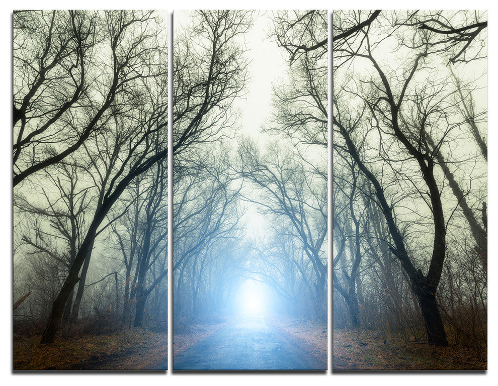 "Blue Light in Foggy Autumn" Photo Canvas Art Print, 3 Panels, 36"x28"