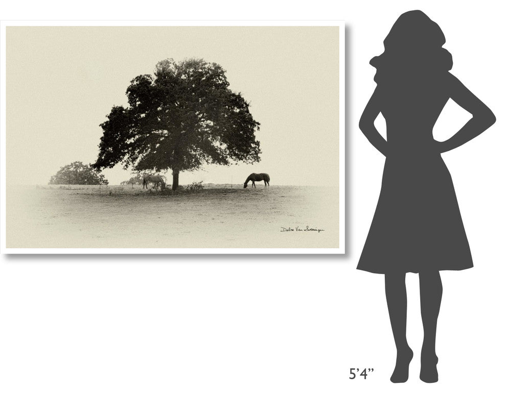 "Horses and Trees I" Digital Paper Print by Debra Van Swearingen, 62"x42"