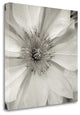 "Florison - 32" By Alan Blaustein, Giclee Print on Gallery Wrap Canvas