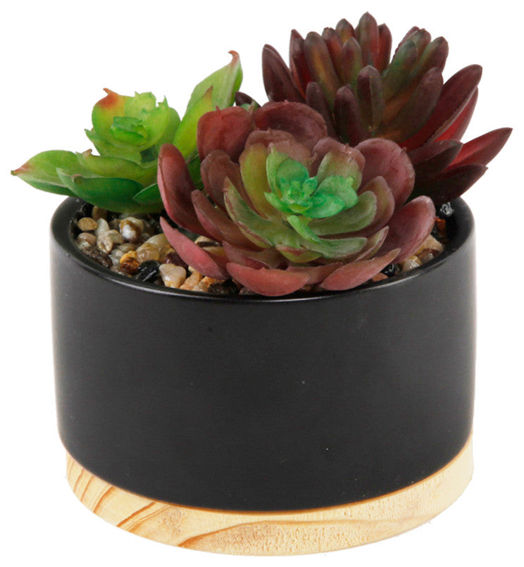 Succulent Mix In Blk Ceramic Wood Base