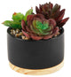 Succulent Mix In Blk Ceramic Wood Base