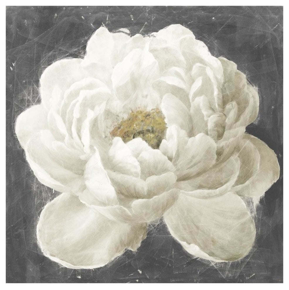 "Vivid Floral I White Flower" Digital Paper Print by Danhui Nai, 26"x26"