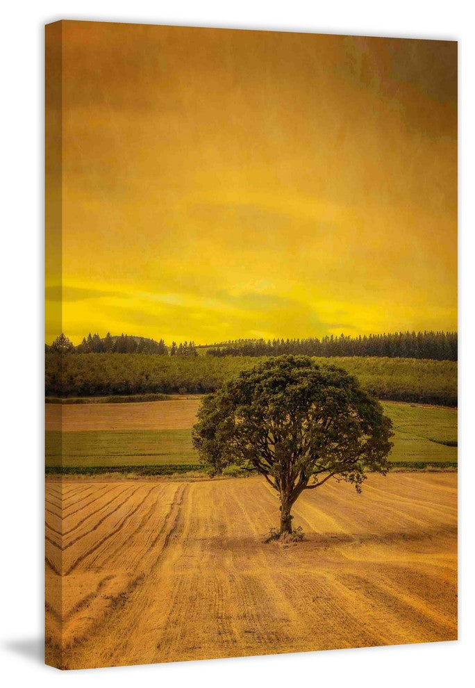 "Lone Tree at Sunset" Painting Print on Canvas