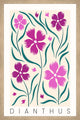 "Dianthus" Framed Painting Print, 16x24