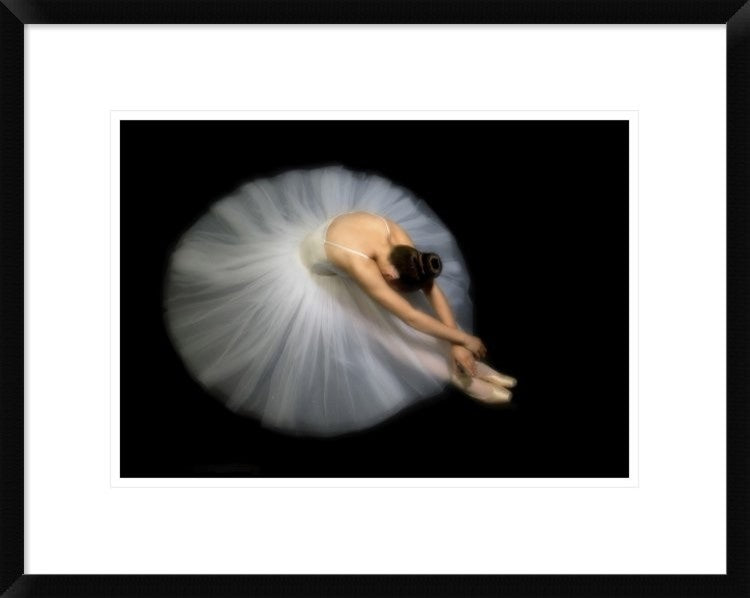 "Elegance" Framed Digital Print by Pauline Pentony Ba, 24"x19"