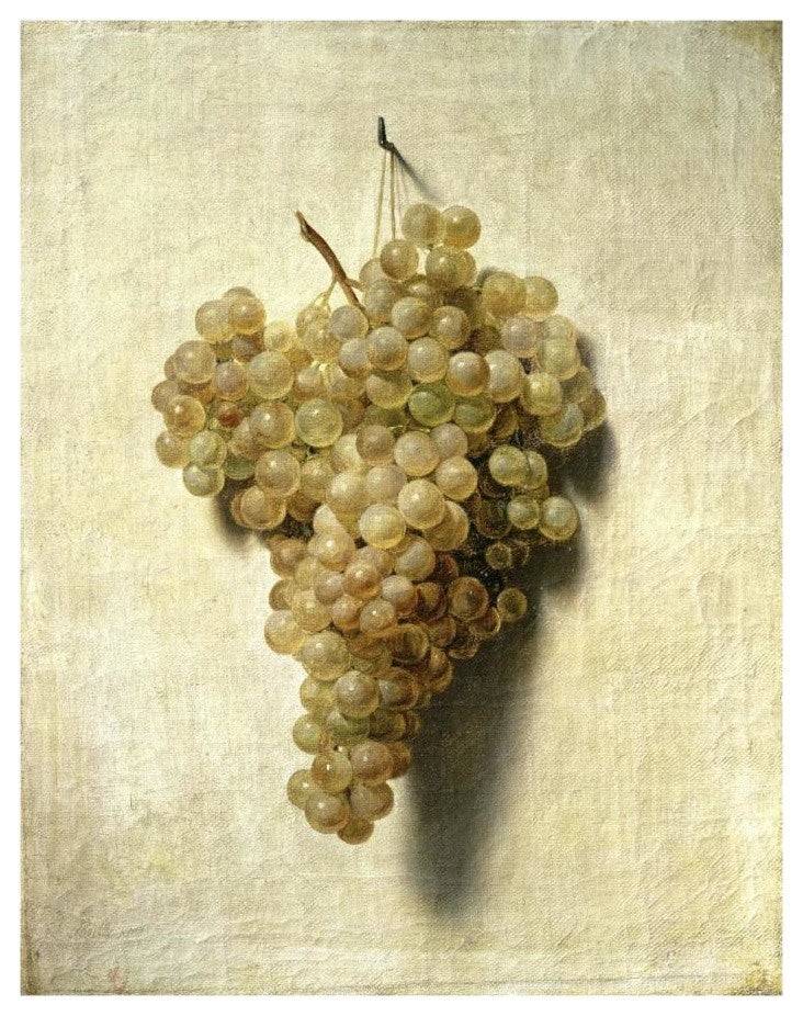 "White Grapes (Raisons Blancs)" Paper Print by Louis Leopold Boilly, 15"x18"