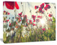 Poppy Flowers on Summer Meadow, Floral Canvas Art Print, 20"x12"