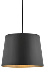 Hinkley Lighting 11154 Alder 120v 20"W Open Air Outdoor Pendant - Black