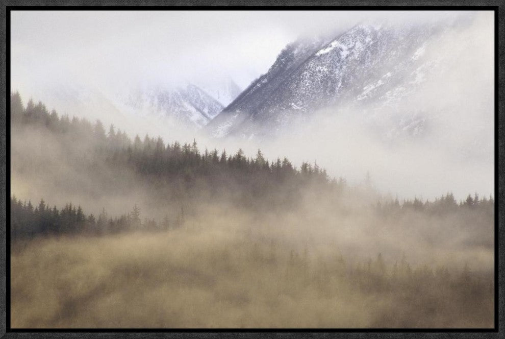 Fog In Old Growth Forest, Chilkat River Wilderness, Alaska, 18"x12"