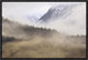 Fog In Old Growth Forest, Chilkat River Wilderness, Alaska, 18"x12"